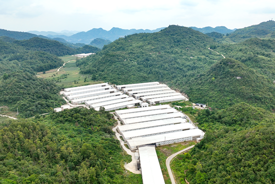 擔當作為開新局 貴州清鎮“新年第一會”不一般