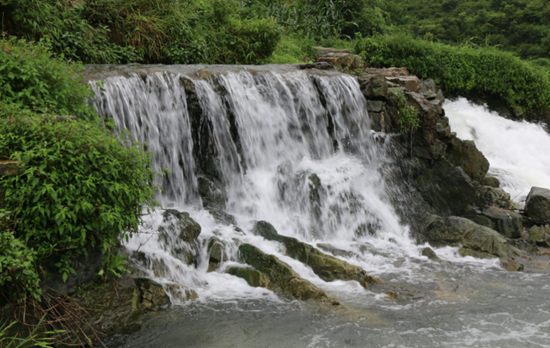 六盤水市六枝特區:厚植青綠賦能高品質發展 築牢生態屏障