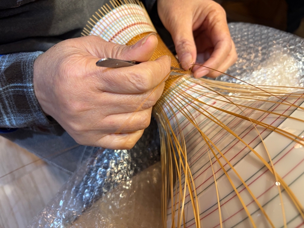 貴州赤水:從“一根竹”到百億産業 繪就“中國竹都”崛起圖景