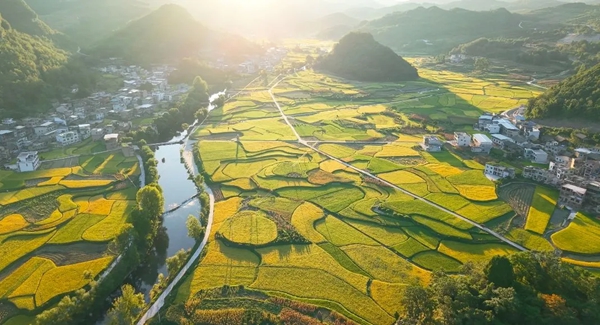 貴州惠水:萬物競發漣江畔 沃野田疇耕耘忙