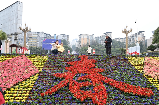 新春新氣象 | 貴州仁懷:4萬盆鮮花扮靚城市 滿城春色迎新春