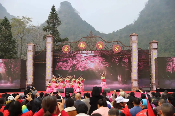 “馬踏春風·美‘荔’相約” 第二十一屆荔波萬畝梅花報春季活動開幕