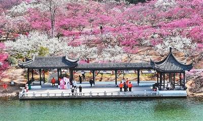 消費市場活力迸發