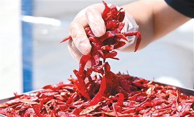 “從手提箱到集裝箱,訂單規模一路漲”(進博連線) ——一位非洲大使眼中的“進博機遇” null