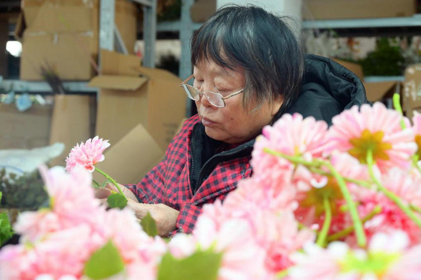 南陽市社旗縣:小縣“花”開世界香