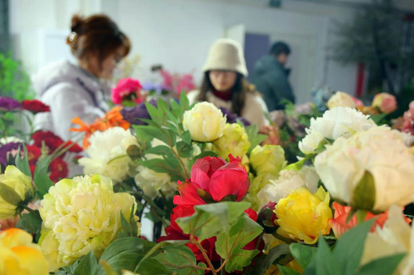 南陽市社旗縣:小縣“花”開世界香