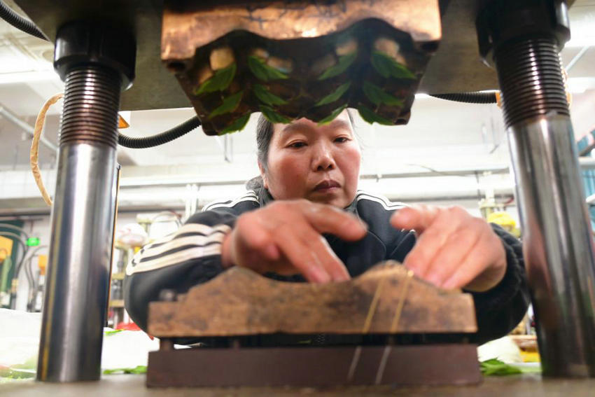 南陽市社旗縣:小縣“花”開世界香