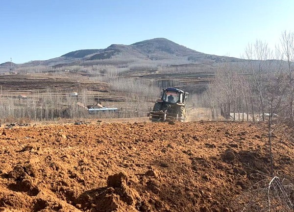 山東安丘:一片赤誠之心 一股實幹韌勁