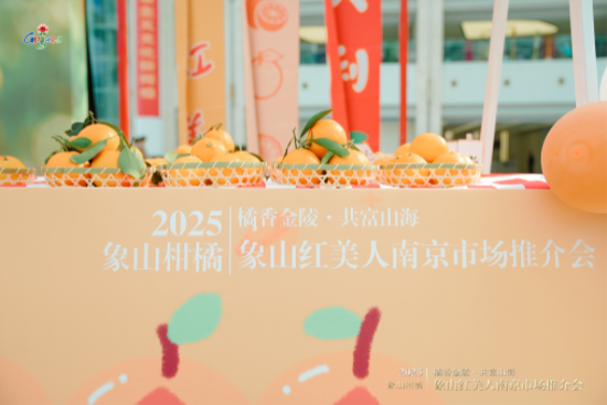 首批訂單簽約3000噸 象山紅美人南京推介會助力拓展長三角高端市場 null