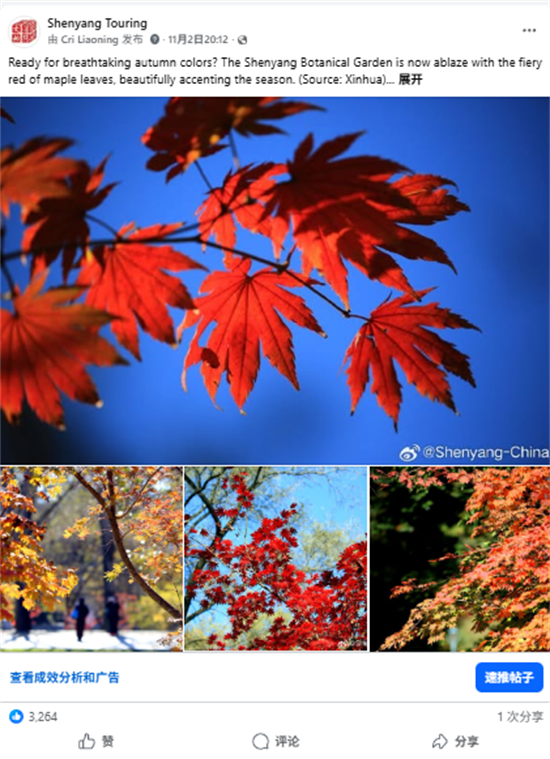 瀋陽文旅如何“圈粉”海外？美食、白瓷與秋色引爆海外社交媒體_fororder_文旅海外9