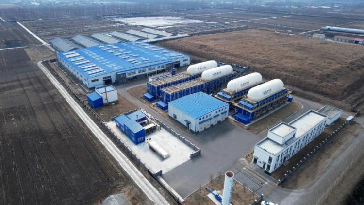 遼中肉牛糞污資源化：“變廢為寶”的綠色傳承