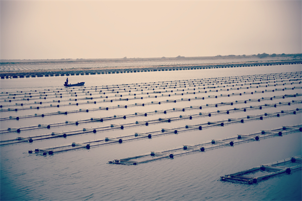 圖説·普蘭店 | 黨建引領聚合力 普蘭店區探索黨群共富新路徑_fororder_普蘭店系列5