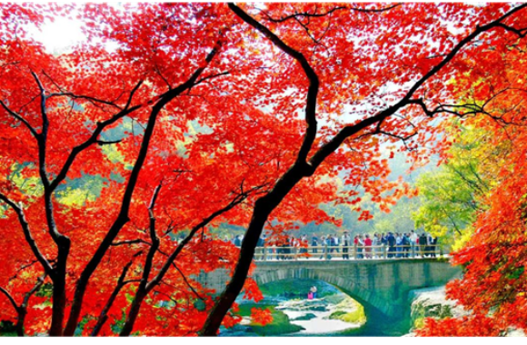 好好聊“遼” | 本溪：生態立市 綠色賦能