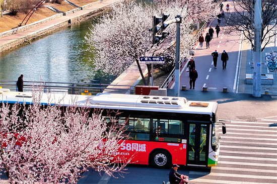 “十里桃花”映鐵西——一場工業與詩意的邂逅_fororder_圖片4