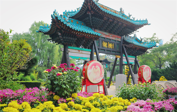 瀋陽植物園菊花文化周啟幕 開啟雙節“日夜雙體驗”模式_fororder_馬靜花展1_副本