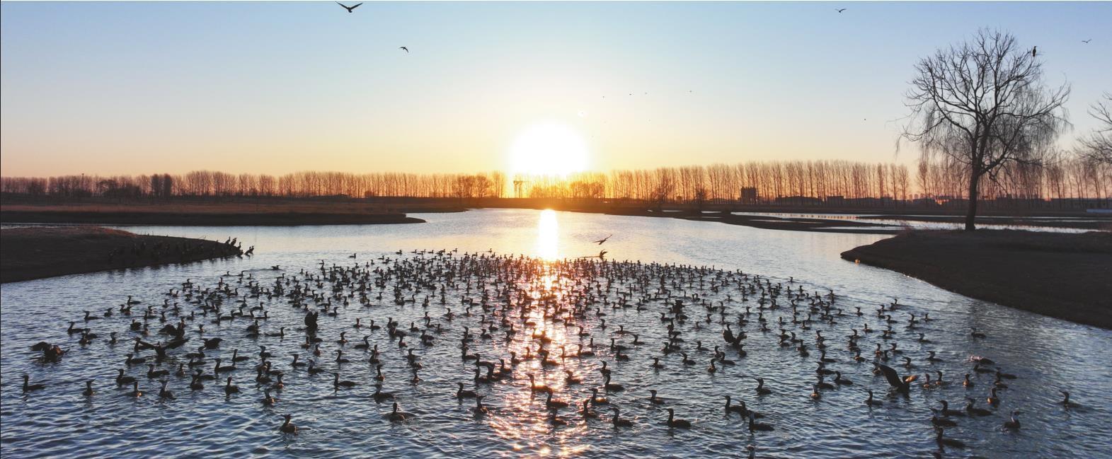 秋日韻正濃 新民寵客忙