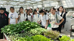 瀋陽市博才中學111校區開展研學實踐活動