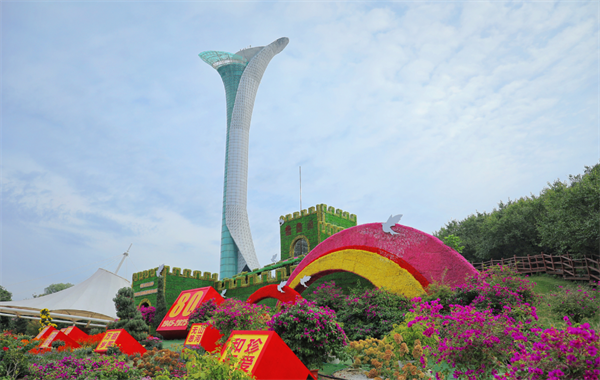 瀋陽植物園菊花文化周啟幕 開啟雙節“日夜雙體驗”模式_fororder_馬靜花展3