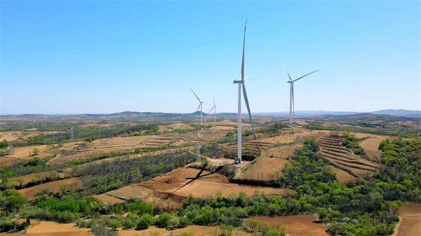 國網葫蘆島供電公司：向“新”逐“綠” 全力保障風電項目高效並網_fororder_微信圖片_20250603100257
