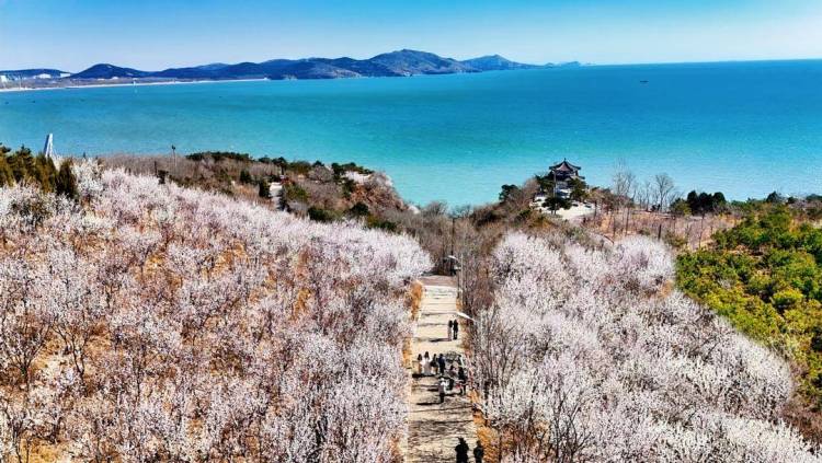 葫蘆島：面朝大海，春暖花開