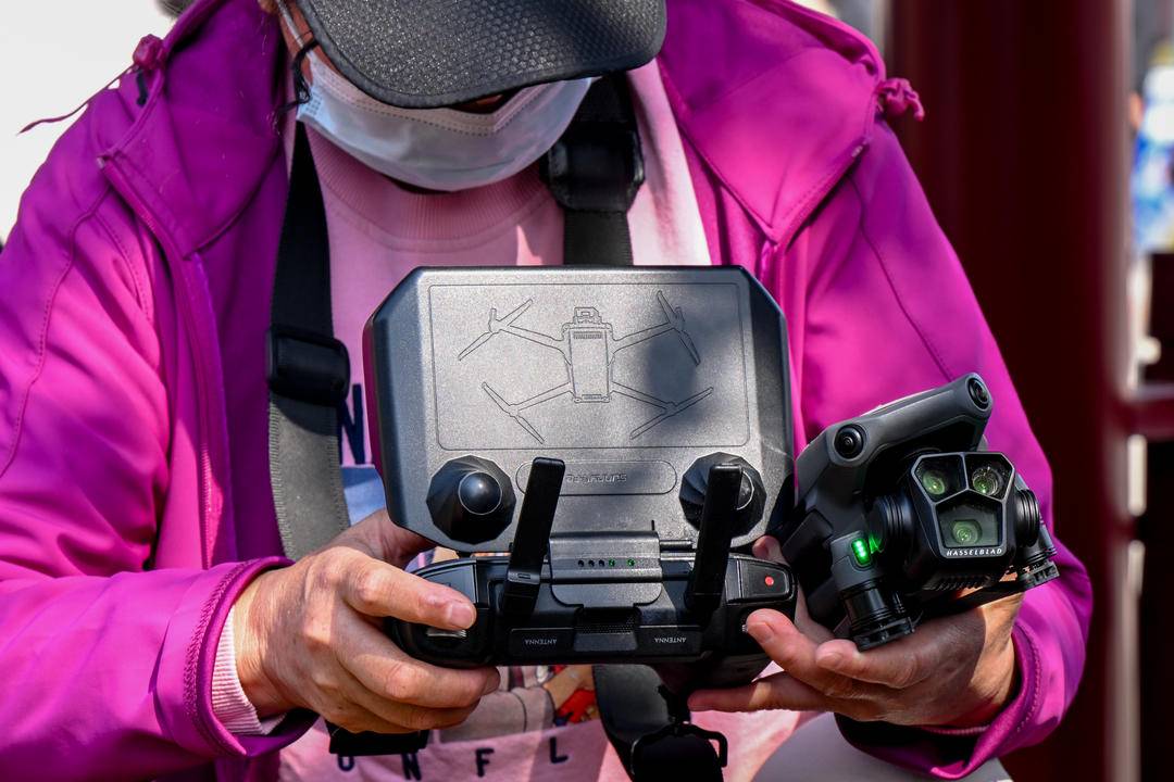 瀋陽：白玉蘭花開 綽約新粧玉有輝