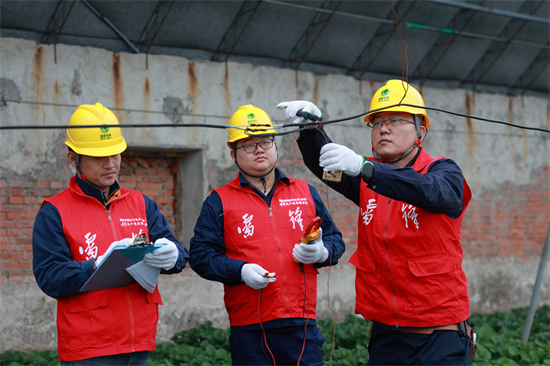 丹東：電亮“莓”好生活_fororder_丹東電力1