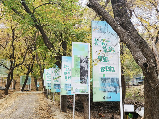 和美鄉村 瀋陽畫卷 | 丁家房鎮：藝術賦能鄉村振興 家鄉風物收穫“鄉愁流量”