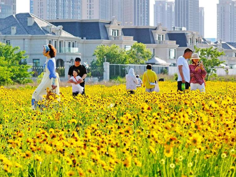 大連：盛夏花開遊人醉