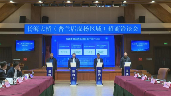 圖説·普蘭店|鏈式招商蓄勢能 項目建設夯實基石_fororder_圖片 5