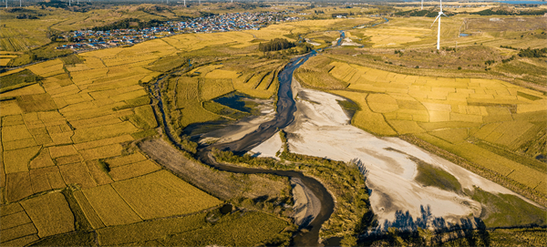 阜新邁出新時代綠富同興新步伐_fororder_阜新3