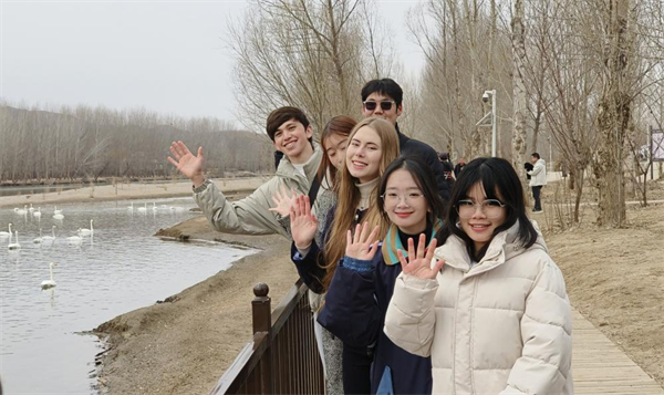 與天鵝浪漫同框 朝陽北票天鵝節“圈粉”海外遊客_fororder_圖片1