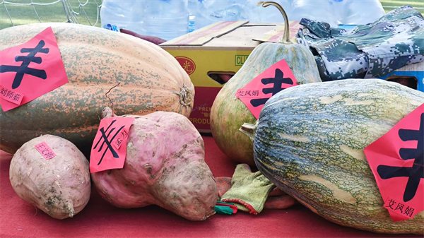 鑼鼓喧天慶豐收！瀋陽渾南這場農民豐收節“豐”味十足_fororder_馬靜豐收節2