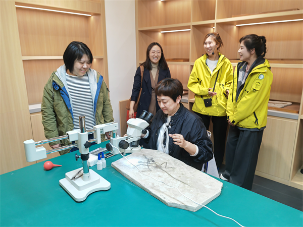遼寧朝陽鳥化石國家地質公園重裝開園 全新呈現“五個世界之最”_fororder_朝陽化石9