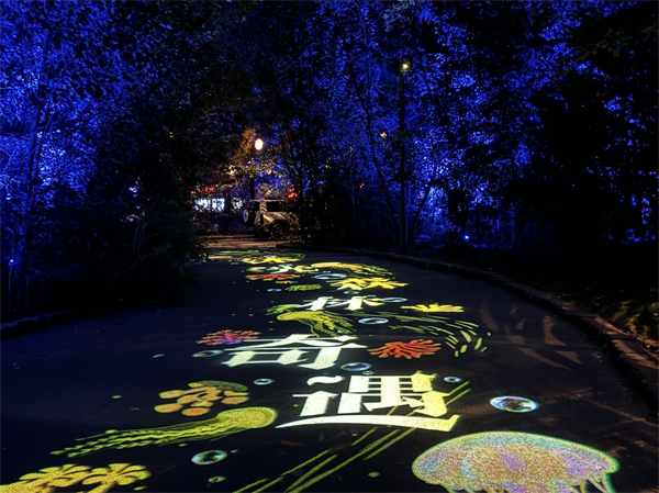 “仲夏森係花海+植物園奇妙夜”瀋陽植物園沐光森林夜遊7月閃耀開啟_fororder_張琪植物園1
