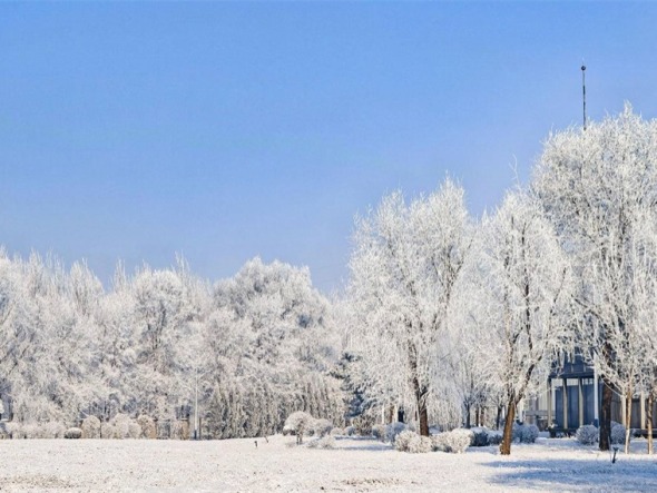 限定版的美！霧凇如畫醉沈城