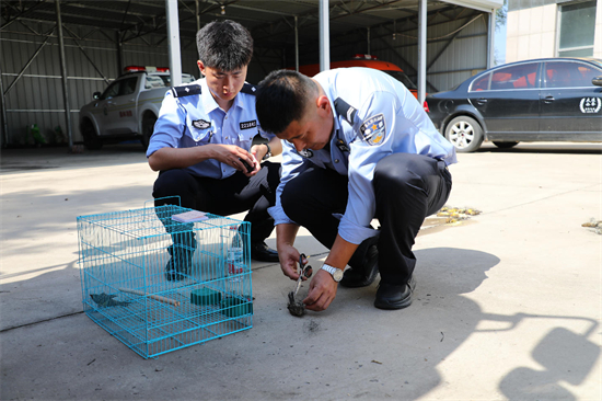 涉案價值超千萬元!大連市公安局普蘭店分局破獲特大案件_fororder_普蘭店鳥1