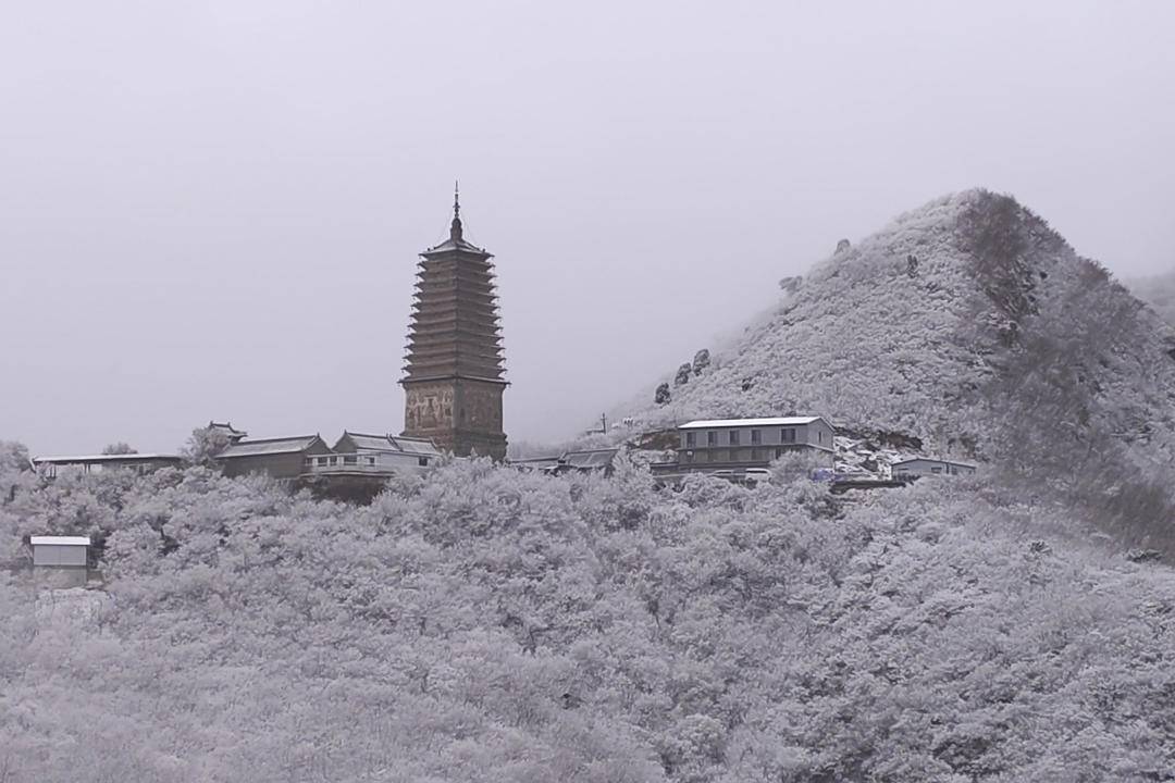 朝陽春景，四月飛雪