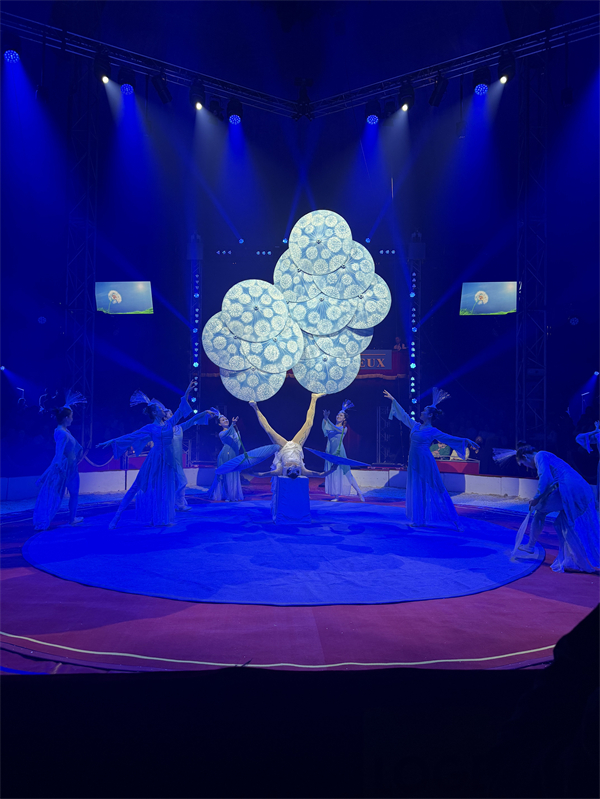 大連雜技團《蹬傘》問鼎雙獎 驚艷法國巴約國際馬戲節_fororder_微信圖片_20250331093104