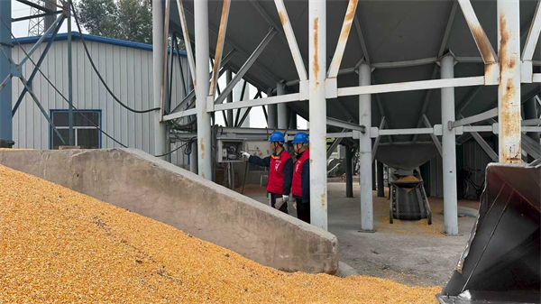 國網朝陽供電公司多維服務零距離 安全用電進鄉村_fororder_10月17日,國網朝陽供電公司桃花吐供電所工作人員走進朝陽冰屹策農業科技發展有限公司向負責人講解安全用電知識(劉鑫攝)