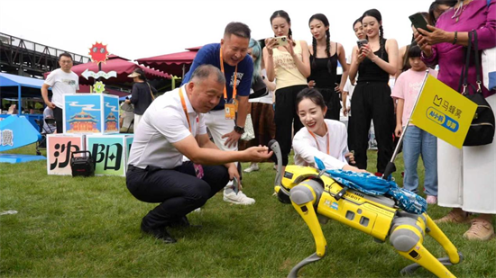匯聚超高人氣,掀起“種草”熱潮 瀋陽文旅在2025年中國國際服務貿易交易會火熱出圈_fororder_06