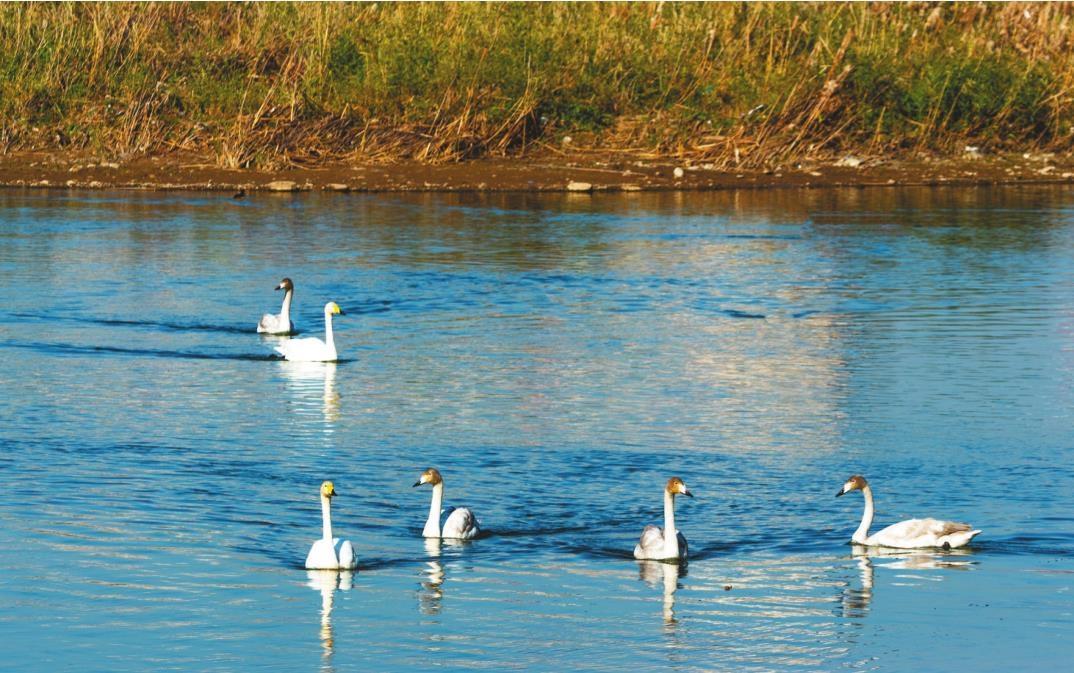 “治山、治水、治城”一體推進 錦州將綠色融入城市肌理