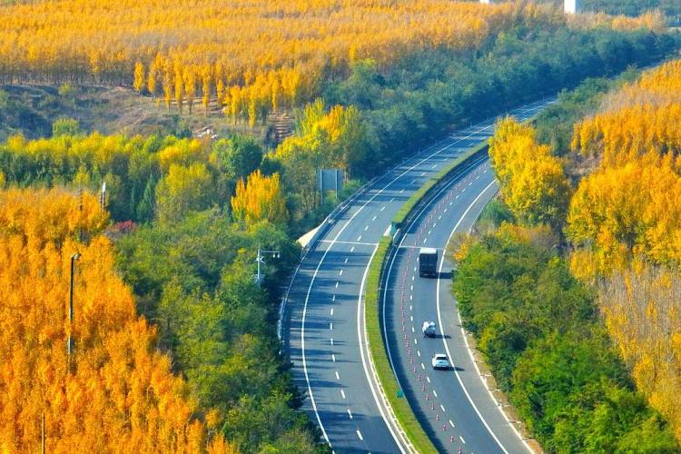 飄在“高速路”上的秋,忒美了吧!
