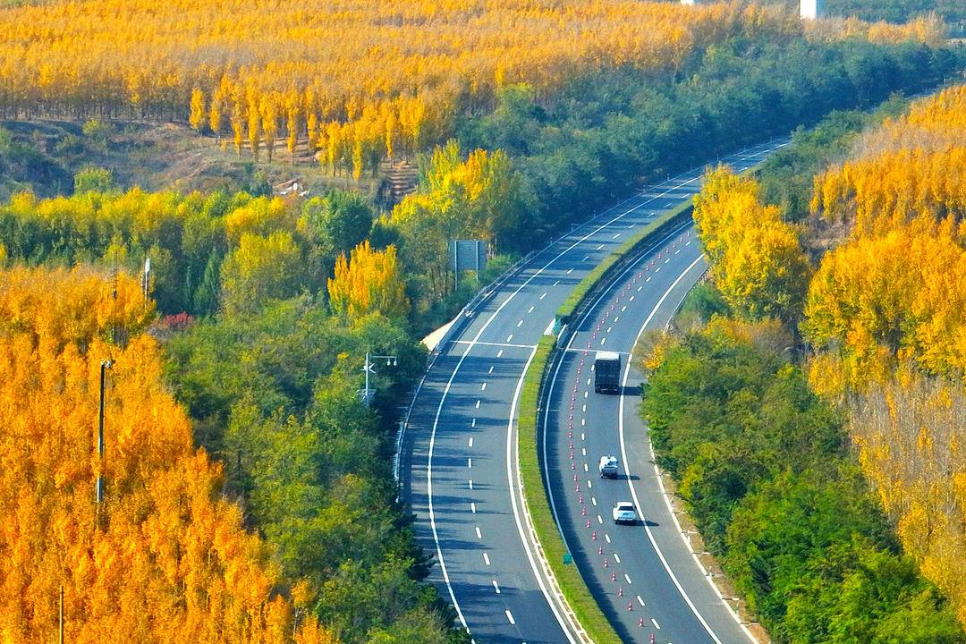 飄在“高速路”上的秋，忒美了吧！