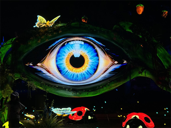 “仲夏森係花海+植物園奇妙夜”瀋陽植物園沐光森林夜遊7月閃耀開啟_fororder_張琪植物園2