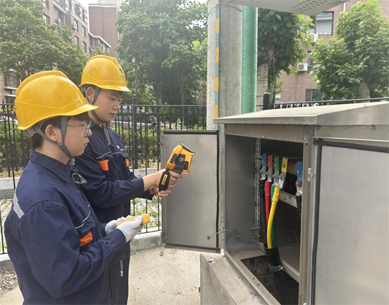 國網鐵嶺供電公司：築牢安全防線 確保順利度夏_fororder_圖片1