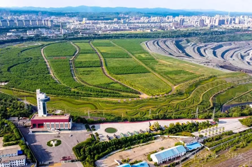 遼寧：綠水青山底色更亮，金山銀山成色更足