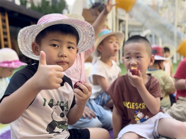 瀋陽鐵西區實驗幼兒園開展“集福摘李”活動_fororder_教育李子