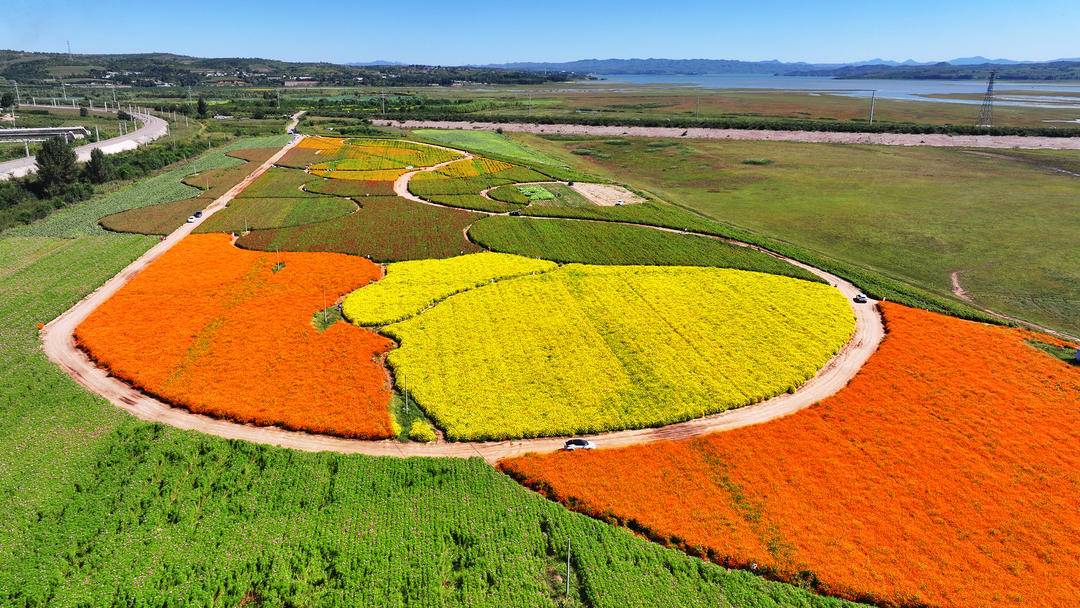 北票花海醉遊人
