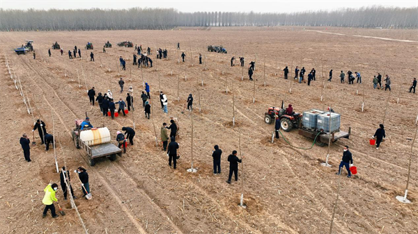 新民市：築牢防沙屏障，繪就生態新貌_fororder_新民3