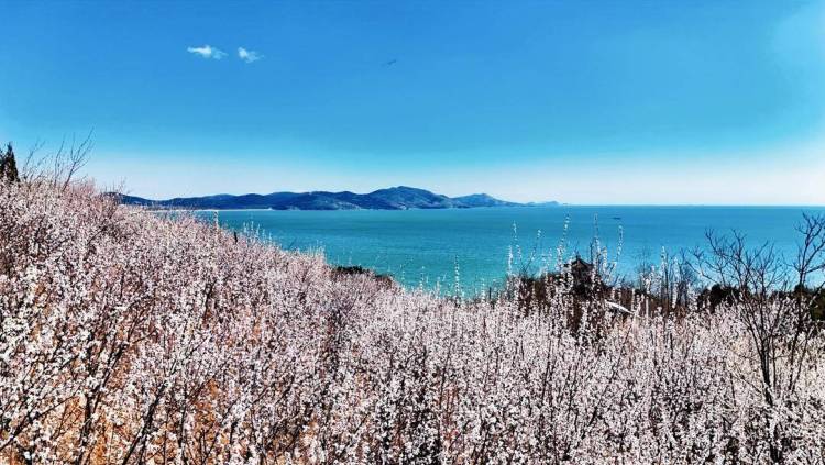 葫蘆島：面朝大海，春暖花開